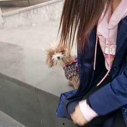 王依萌摄影师视频,王依萌摄影师作品赏析