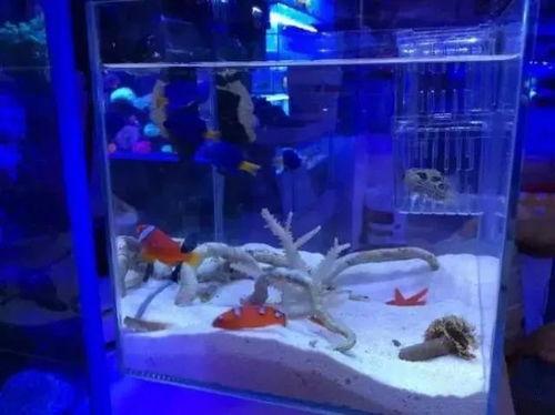 清理鱼缸底部垃圾视频