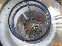 九阳咋汁机试用视频,轻松打造健康鲜榨果汁