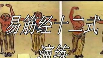 易筋经全套教学视频,易筋经全套教学视频精华解析